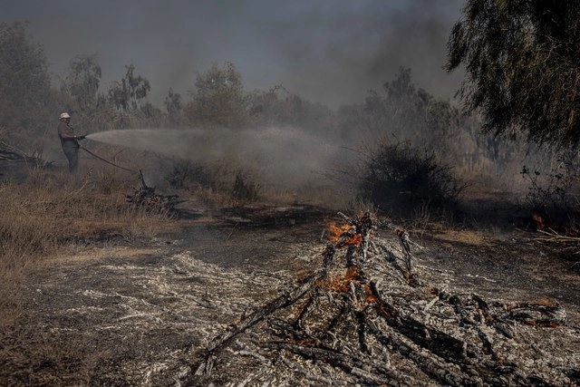 Hombre extingue un incendio en Israel provocado por globos incendiarios enviados desde territorio palestino en la Franja de Gaza. Foto Ap