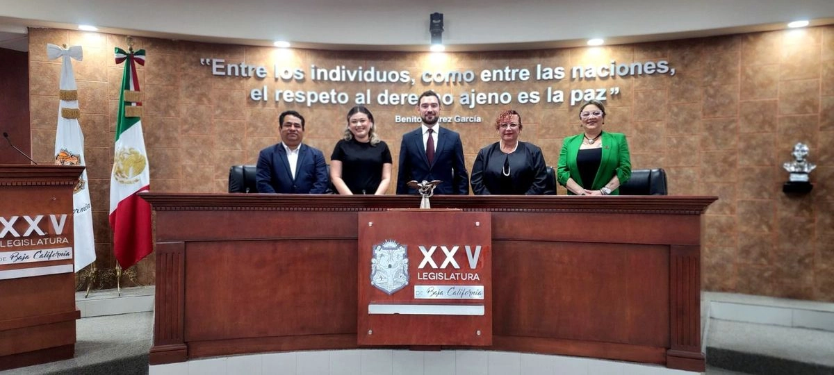 Cantón Rocha es Licenciado en Derecho con mención honorífica por la Universidad Autónoma de Baja California (UABC), en cuya Facultad de Derecho imparte la cátedra de Teoría del Estado. 