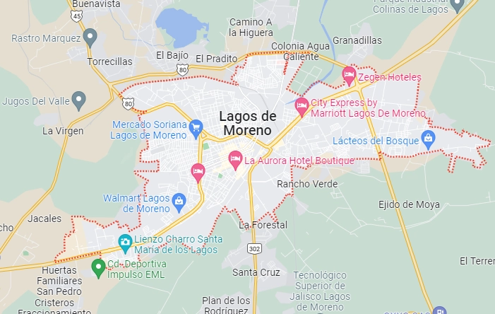Los cinco jóvenes desaparecieron desde el viernes pasado en Lagos de Moreno, en la región de los Altos de Jalisco. Foto Google maps