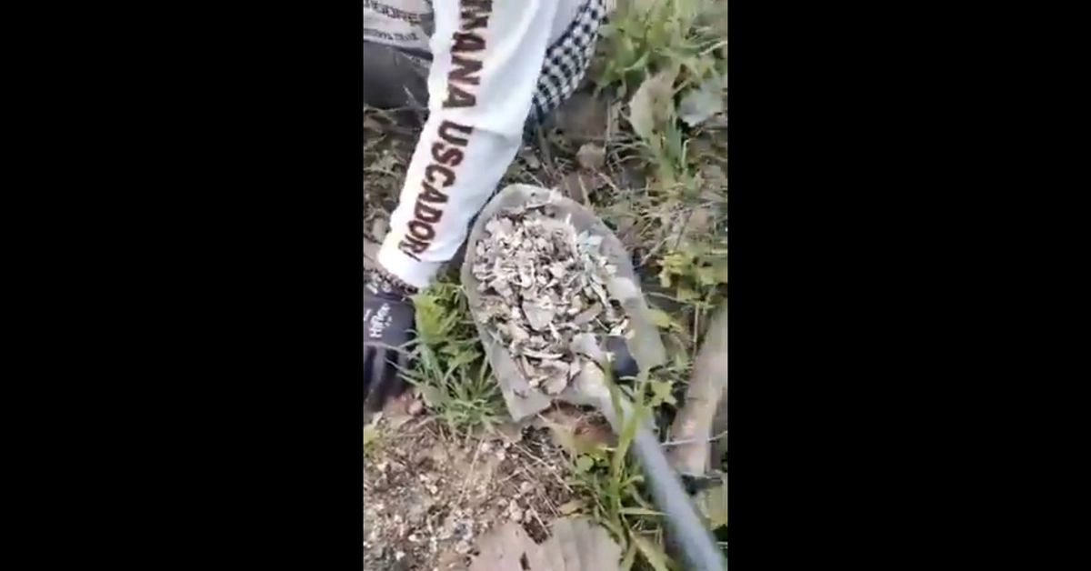 En una transmisión en vivo por redes sociales, el colectivo que en marzo descubrió el rancho Izaguirre en Teuchitlán, anunció haber encontrado una nueva zona pero no especificaron la ubicación exacta, indicando que llegaron al lugar tras recibir denuncias anónimas. 