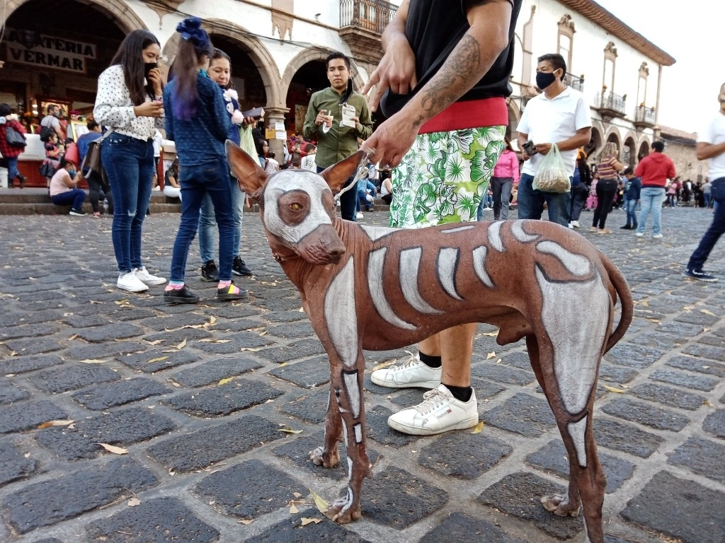 A pesar de que no había  puestos de bebidas alcohólicas en los pueblos y comunidades de la ribera del lago de Pátzcuaro, tampoco discotecas, ni grandes festines; sí llegaron miles de visitantes, pero aproximadamente al 30 por ciento de otros años. Foto Ernesto Martínez Elorriaga 