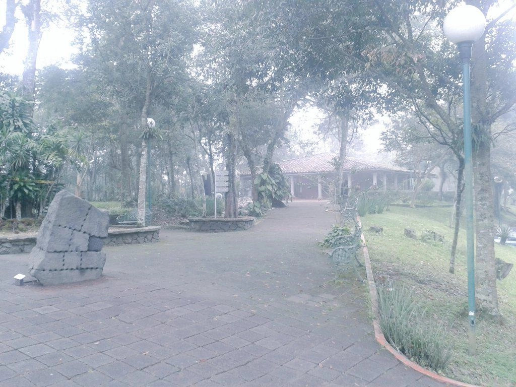 El Jardín de las Esculturas en Xalapa, Veracruz, se inauguró el 23 de noviembre de 1998. Foto Tomada del Twitter @JEX_IVEC / Archivo