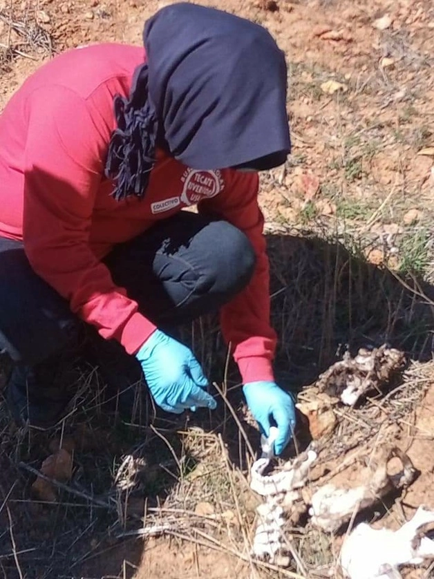 Colectivos de búsqueda de desaparecidos en una fosa clandestina ubicada en Tecate, Baja California. Foto Lindero Norte