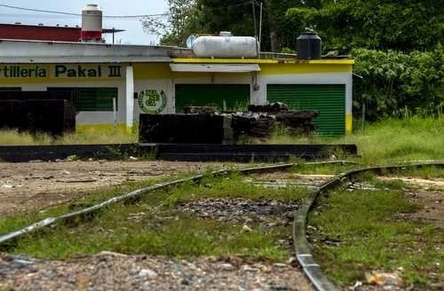 Los habitantes de las comunidades argumentaron que mantener los trabajos del Tren Maya en época de pandemia les impedía participar en las manifestaciones de impacto ambiental y social. Foto Notimex /Archivo