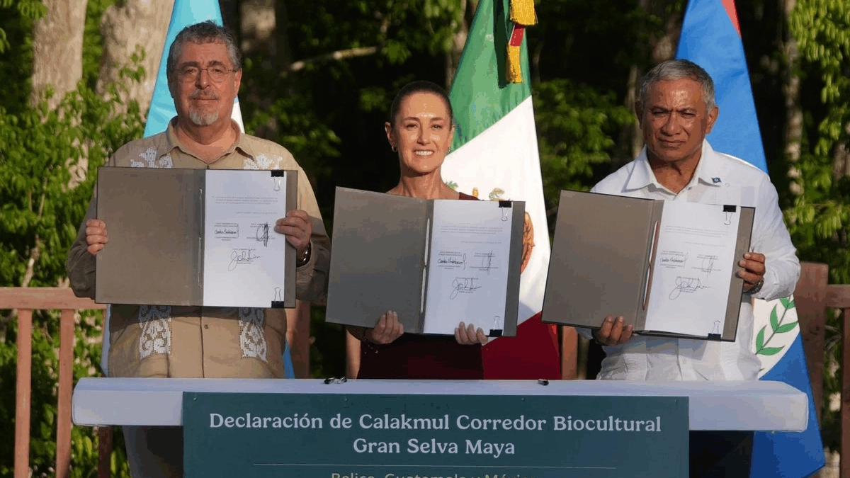 En esta entrega se argumenta que para que este acuerdo no se quede a la larga en el nivel de discurso, se debe trabajar a escala local, aprovechando el potencial biocultural de las comunidades mayas. Foto
