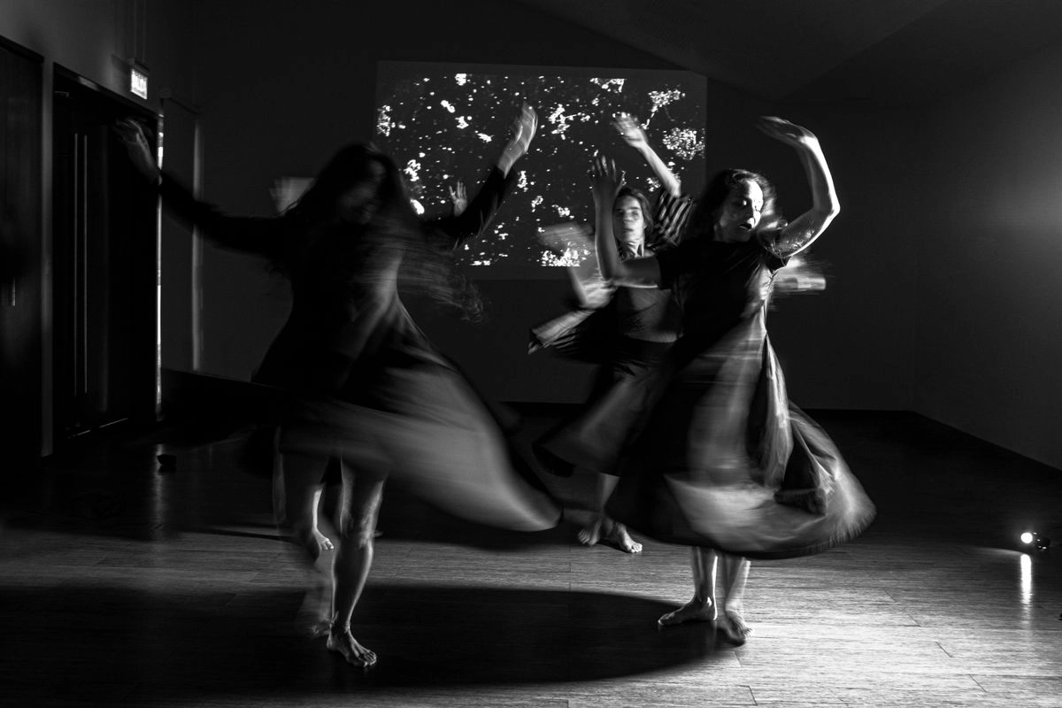 La compañía ÍNTEGRO ha transformado el panorama de la danza y las artes escénicas en el Perú. Sus obras han destacado por una visualidad vinculada al movimiento como un corpus funcional y significativo.