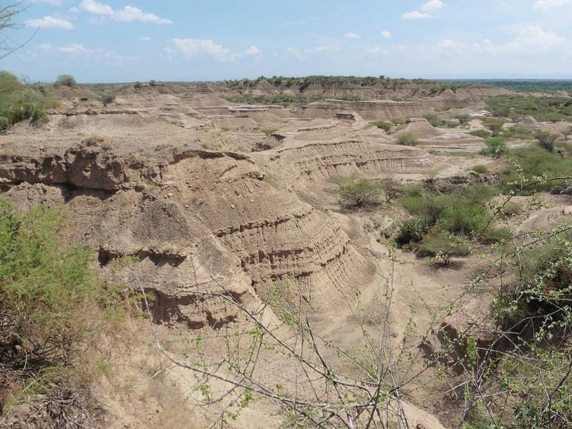 La formación Omo Kibish, en el sur de Etiopía, presenta depósitos en capas de más de 91 kilómetros de espesor que han conservado muchas herramientas y restos humanos antiguos. Foto Céline Vidal