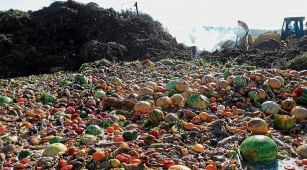 La pérdida y el desperdicio de alimentos implican despilfarro de recursos, menos posibilidades de reducir el hambre y un mayor impacto ecológico sobre el planeta. Foto FAO