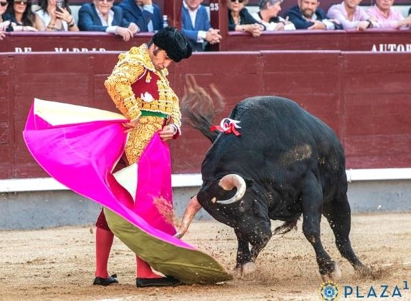 Morante de la Puebla o el clavo ardiendo de una industria taurina que sólo ha sabido clonar toreros, no promover estilos diferentes que compitan y apasionen.