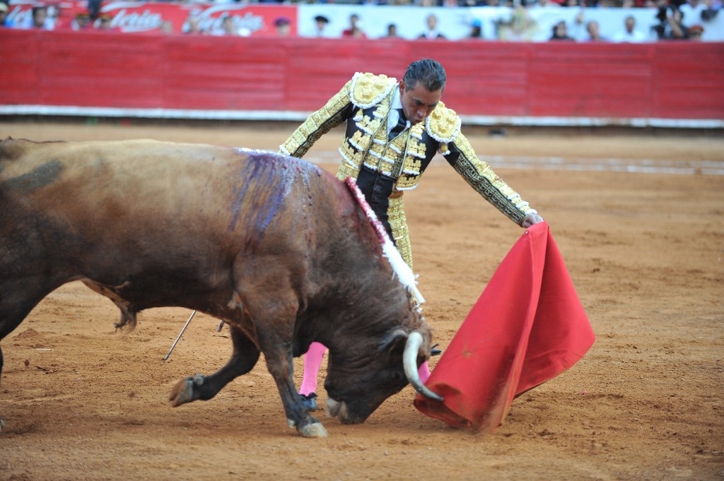 Leonardo Páez
