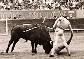La escuela mexicana del toreo obligaba a inclinar la cintura para dar dimensión y acompañar la embestida, no a todo lo que llegaba de afuera. Foto archivo