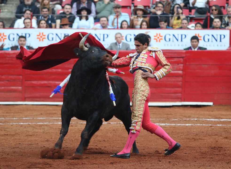 Leonardo Páez