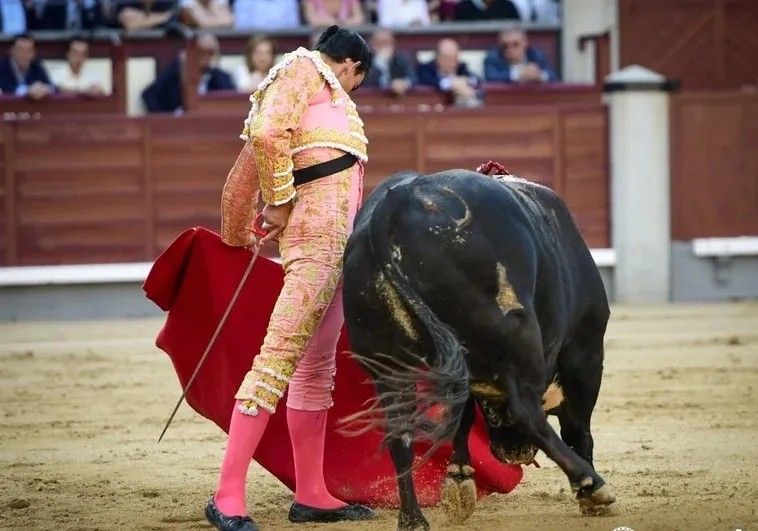 Leonardo Páez