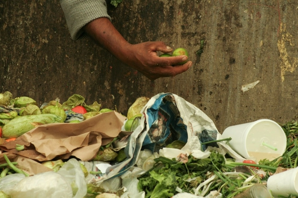 Pepena de alimentos desechados en la Central de Abasto, en la Ciudad de México. Foto Cuartoscuro / Archivo
