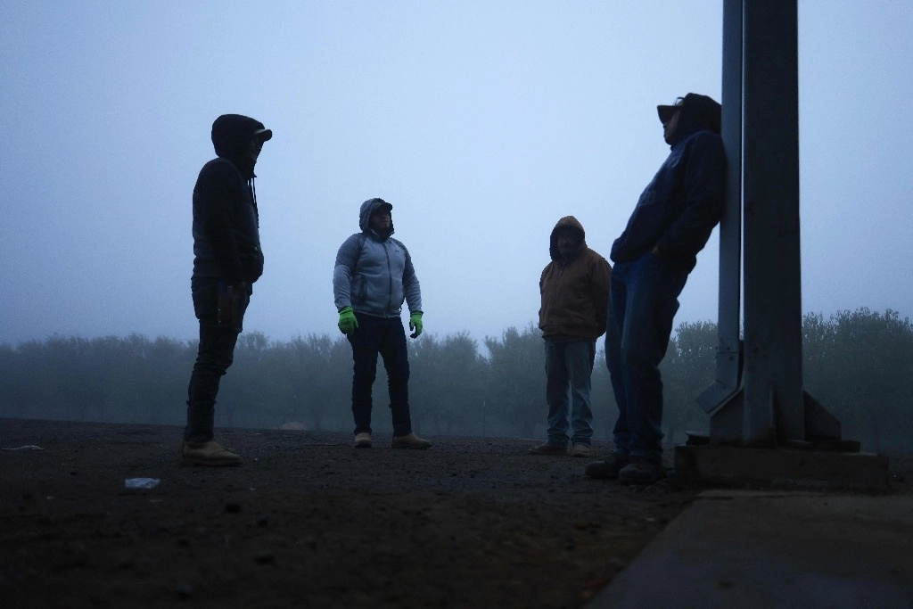 Dos trabajadores indocumentados de Honduras y otras personas se preparan para una jornada laboral en Del Bosque Farms en Firebaugh, California, el 17 de diciembre de 2024. Alrededor de 2,4 millones de personas trabajan en la agricultura en Estados Unidos, el 44 por ciento de las cuales son indocumentadas, según una encuesta del Departamento de Trabajo. Foto Afp