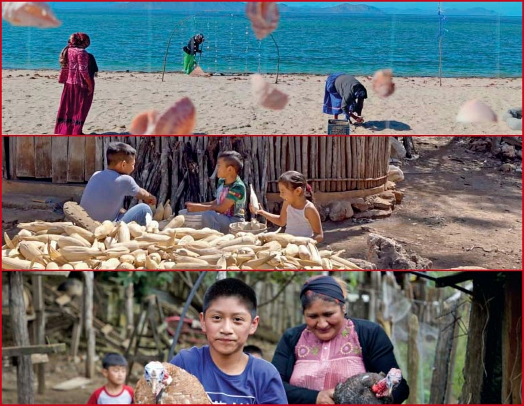 Fotogramas de las cintas ‘No muevan mis raíces’, de Emily Icedo; de ‘Monte, milpa, solar’, de Pepe Perruccio; y de ‘Creación de sueños’, de Pedro Daniel López