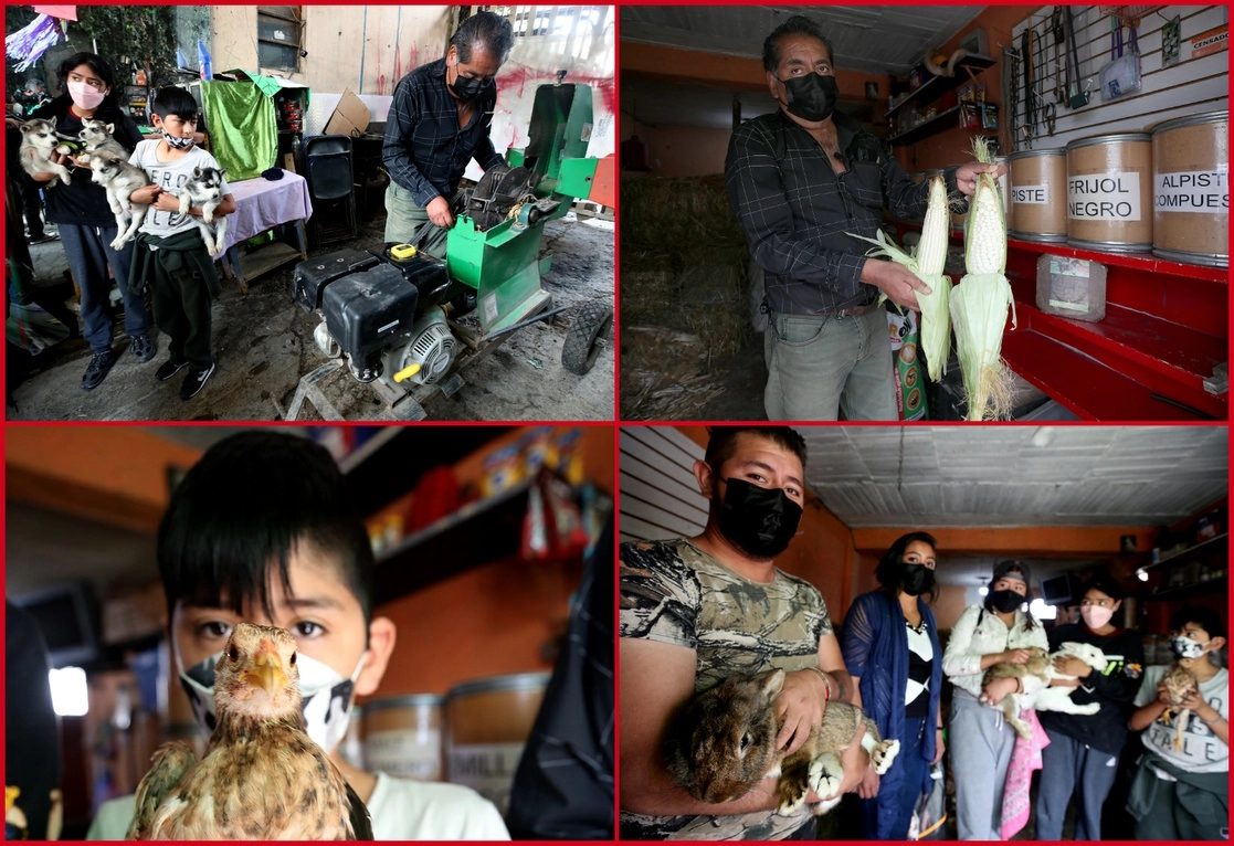 El apoyo económico que recibió la cooperativa Forrajes y Semillas Yesily, en San Lorenzo Acopilco, se invirtió en producto y en una máquina trituradora, narra Ciro Efrén Ángeles, quien junto con su familia muestra su trabajo. Foto José Antonio López