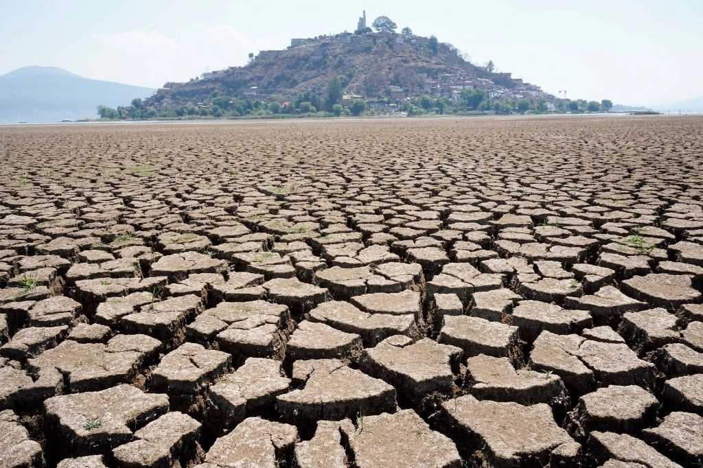 El lago de Pátzcuaro enfrenta una sequía nunca vista, aseguran expertos, quienes mencionan que el robo de agua, las condiciones climáticas, la deforestación, el descuido histórico y la siembra irregular de aguacates y frutos rojos han provocado daños y la reducción de la superficie del lago en un 42%. Foto Cuartoscuro 