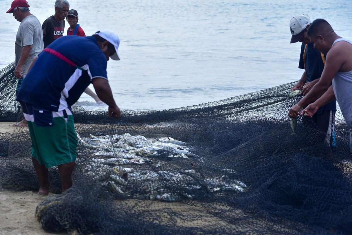 Se reportaron bajas en las actividades primarias (agrícola, ganadería, silvicultura, caza y pesca), que se contrajo 4.3 por ciento trimestral, tras el importante avance trimestral previo de 10.6 por ciento.