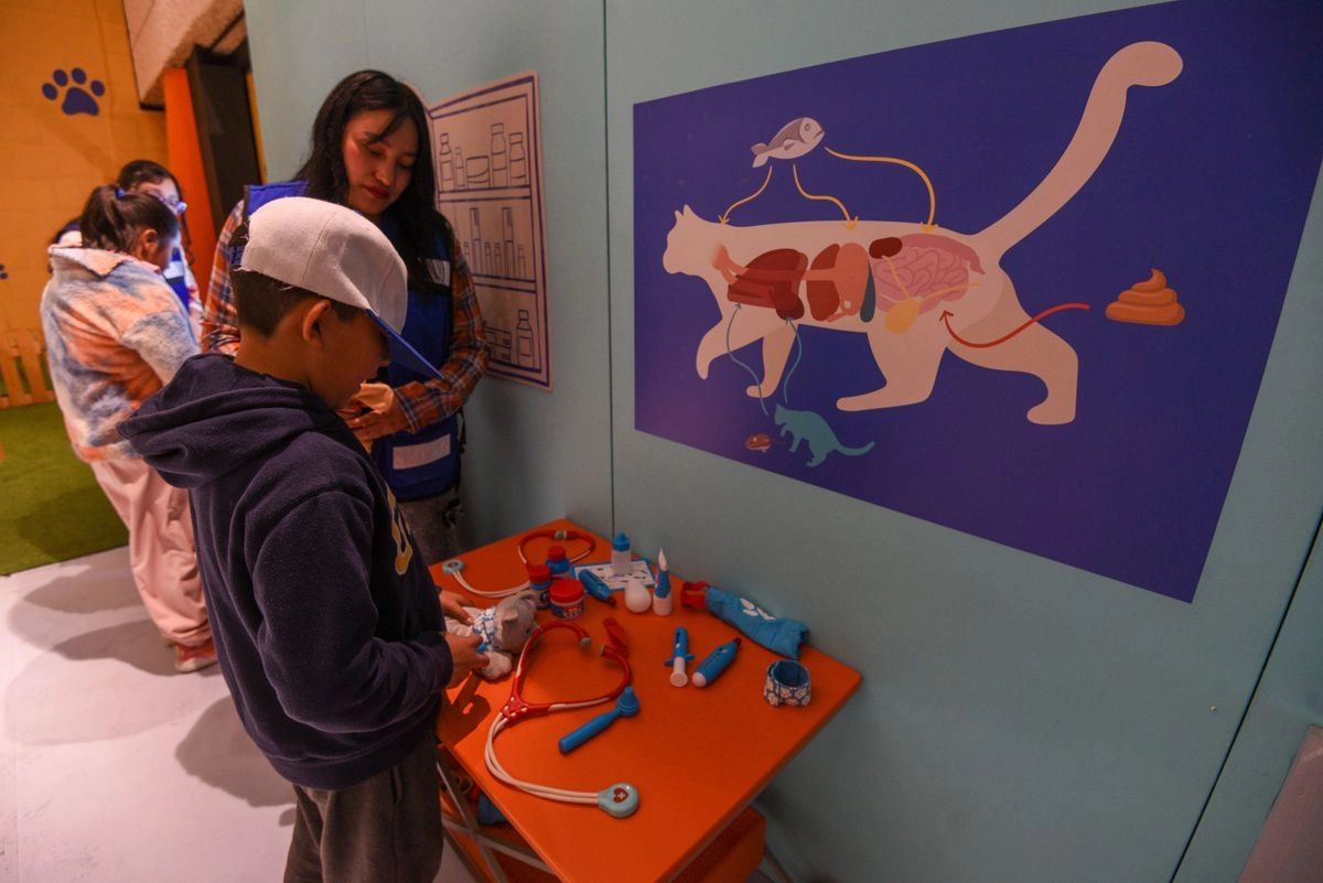 Según el decreto, “la SC se compromete a realizar las acciones necesarias para la regularización de la superficie de 3 mil, 594.18 metros cuadrados, que actualmente es utilizada por el Museo Interactivo Infantil A.C., mejor conocido como Papalote Museo del Niño”. Foto