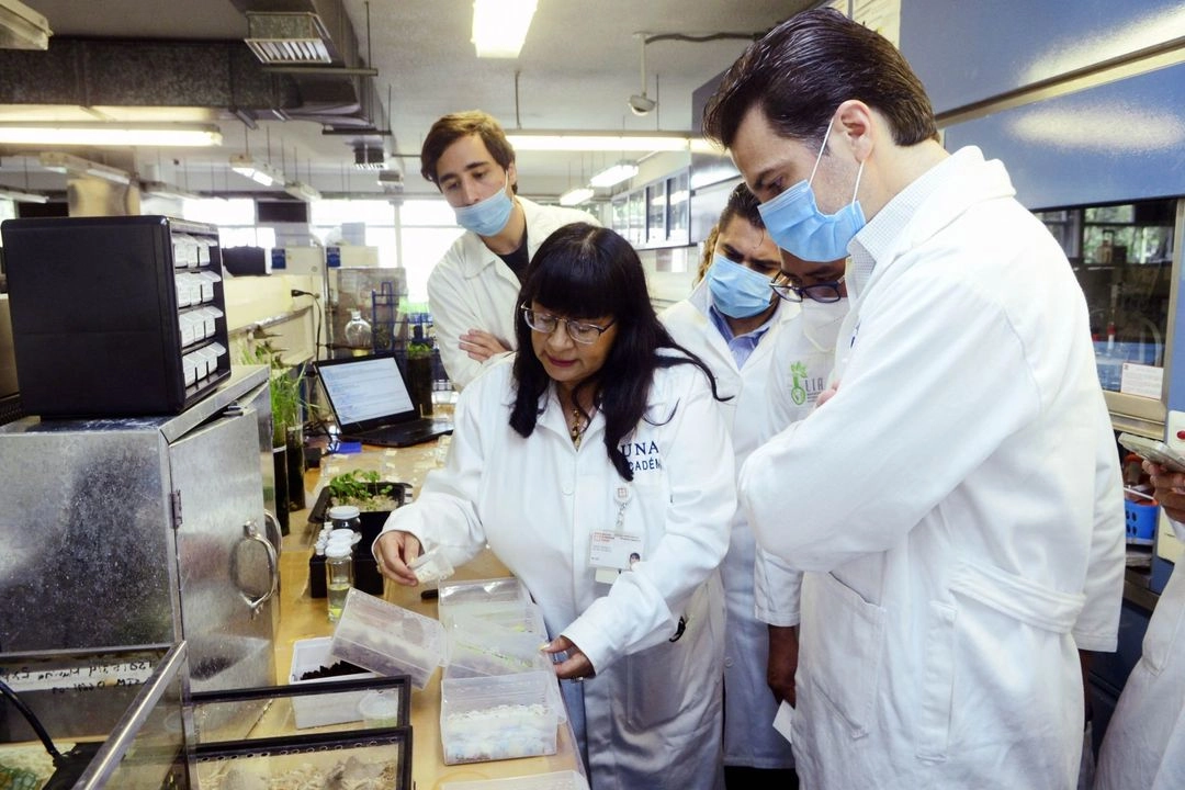 No se trata de tener laboratorios si no hay industria que los aproveche, ni de formar doctores si no pueden aportar aquí. Foto