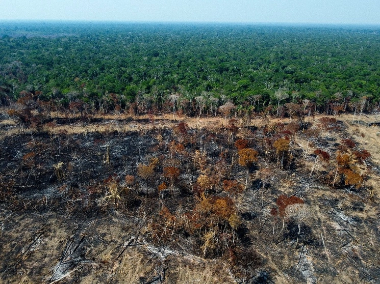 Área deforestada y quemada en un tramo de la BR-230 (carretera transamazónica) en Humaita, estado de Amazonas, Brasil. Foto Afp 