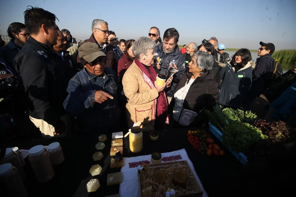 Alicia Bárcena, titular de la Semarnat, liberó peces durante el Día Mundial de los Humedales, en el Parque Ecológico Lago de Texcoco. Foto ‘La Jornada’