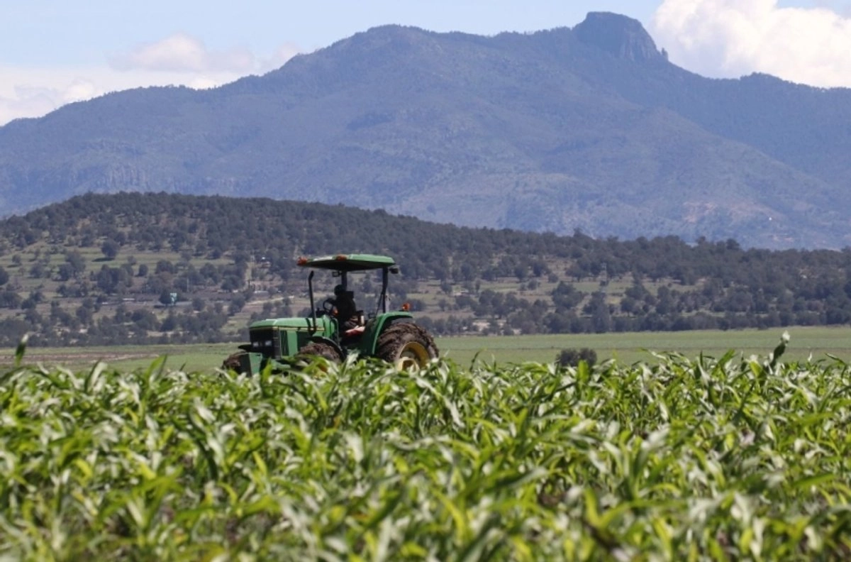 A pesar de que los agricultores del país han intensificado sus protestas debido a la caída de los precios de sus cosechas, los apoyos directos al campo mexicano no crecerán más de uno por ciento en términos reales el próximo año.
