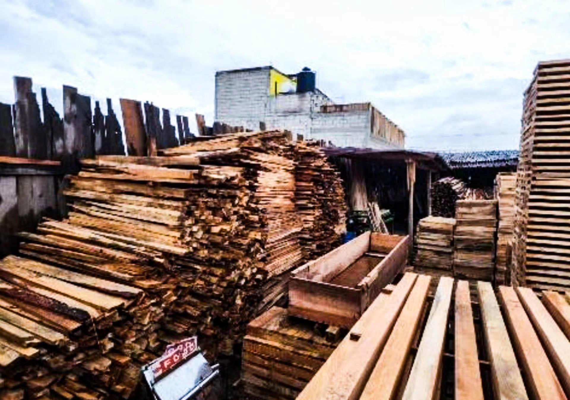 Madera en un aserradero de la Ciudad de México en imagen de archivo. Foto