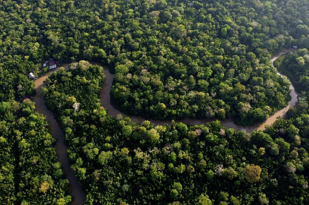Panorámica de la Amazonia brasileña en imagen de archivo. Foto Ap