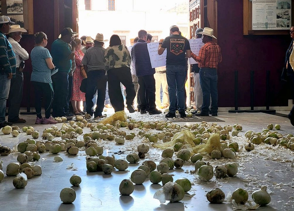 Los campesinos denunciaron el bajo precio del kilo de cebolla, que no compensa los gastos implicados en su siembra. Foto