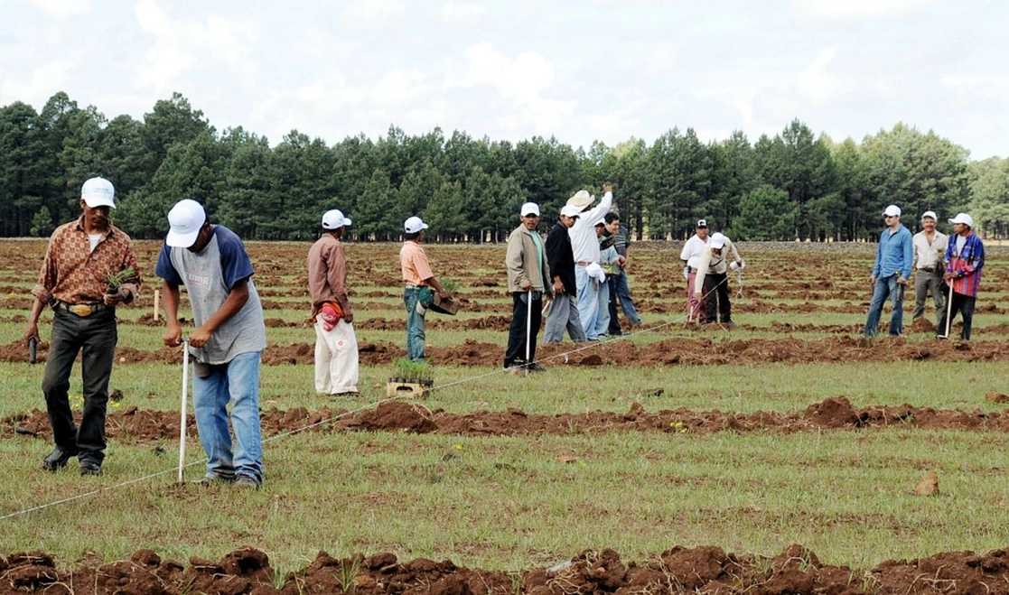 Pese a que las remesas siguen al alza, en lo que se refiere a noviembre de 2022, la baja productividad de las tierras obliga a los campesinos a venderlas o rentarlas y tratar de vivir con los recursos que sus familiares envían desde el extranjero. Foto Notimex




