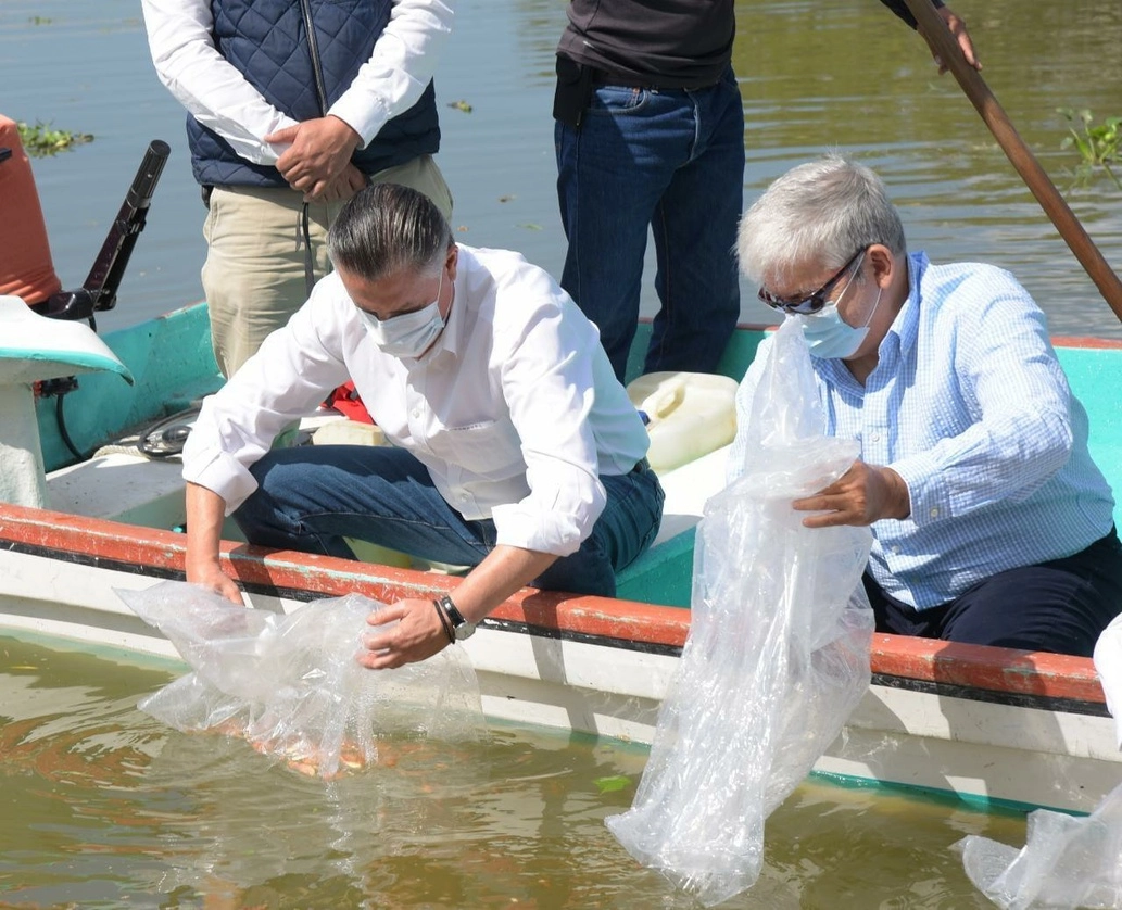 Jesús Nader, presidente municipal de Tampico, libera peces en la laguna La Escondida, el 4 de febrero de 2021. Foto La Jornada