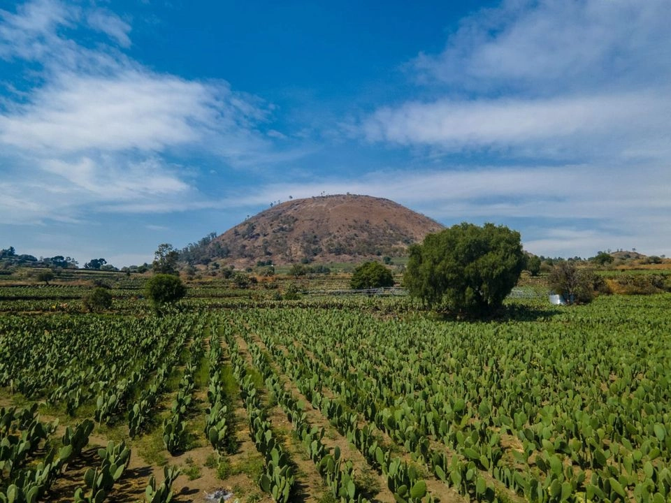 El subíndice agrícola avanzó 3.9 por ciento a tasa anual. Foto 