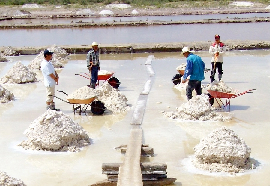 De acuerdo con la Red Mexicana de Afectados por la Minería, los impactos socioambientales que se prevén con la explotación que se proyecta hacer del litio en México son similares a los de la minería a cielo abierto. Foto Alfredo Valadez Rodríguez / Archivo