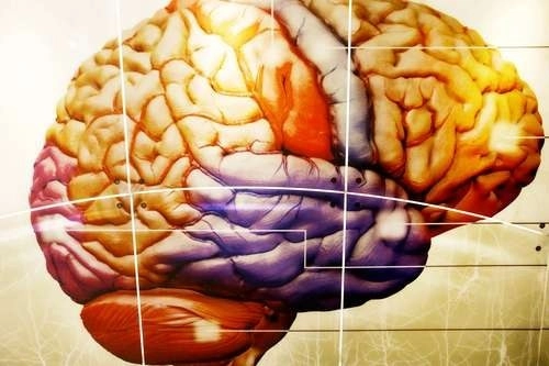 La epilepsia es una enfermedad cerebral crónica. Foto Carlos Ramos Mamahua / Archivo