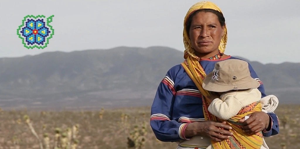 Los productores de ‘Huicholes: Los Últimos Guardianes del Peyote’ lanzaron una campaña de venta del documental para apoyar el trabajo espiritual del pueblo wixárika. Imagen tomada del Twitter PeyoteGuardians