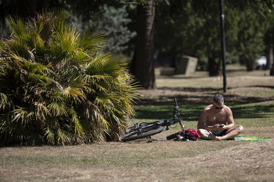Un hombre revisa su celular mientras descansa en un parque, en la ciudad de Buenos Aires. Foto Xinhua