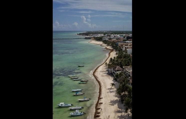 Quintana Roo recibió menos sargazo del esperado, por lo que la temporada podría concluir pronto, señaló el gobernador Carlos Joaquín. Foto Juan Manuel Valdivia