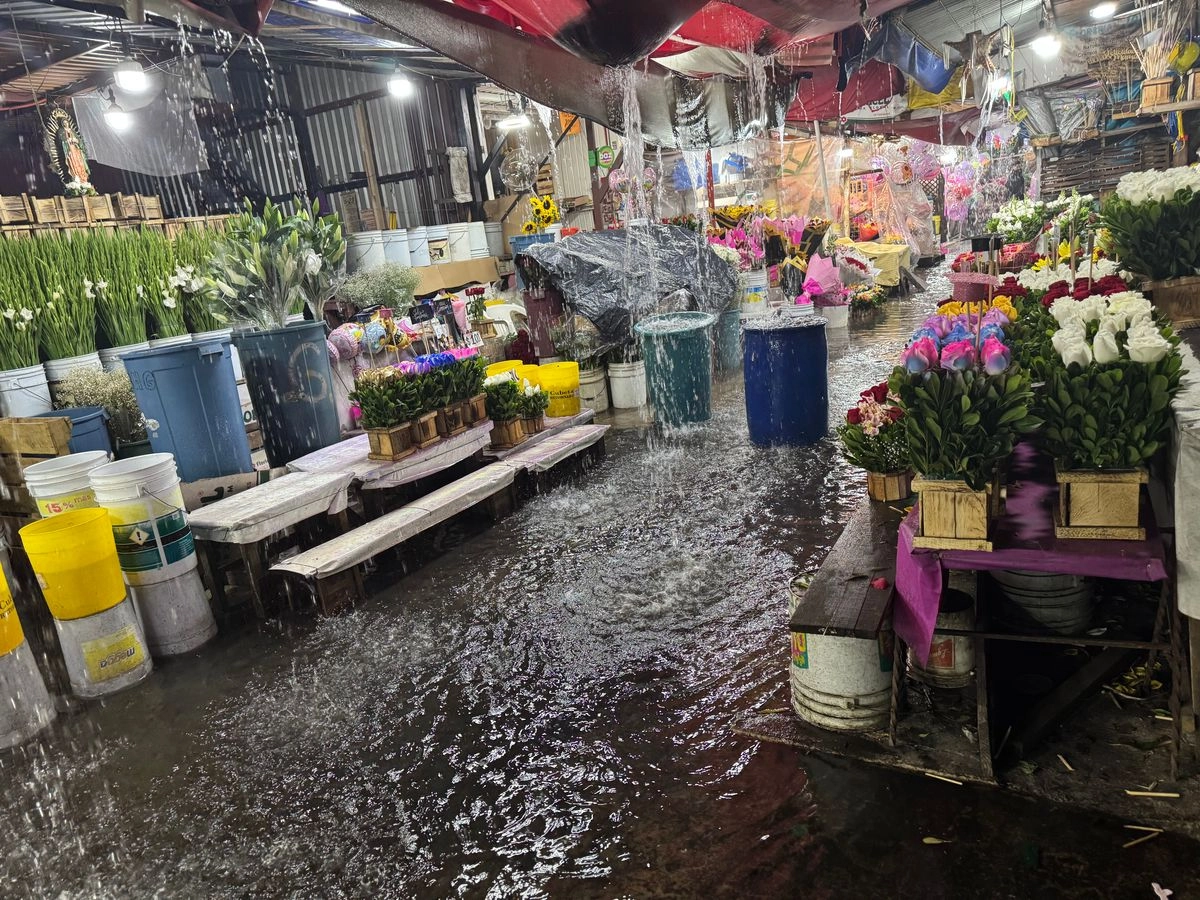 Inundaciones en un mercado de flores de Nezahualcóyotl. Foto