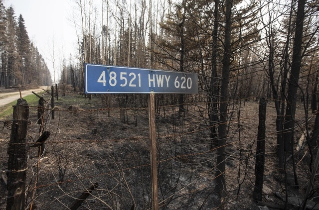 Una señal de tráfico quemada y árboles dañados por los incendios forestales, en Alberta, Canadá. Foto Ap