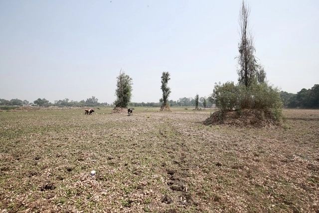 Las lluvias de los últimos días ayudaron detener la afectaciones por la sequía. Foto Luis Castillo / Archivo