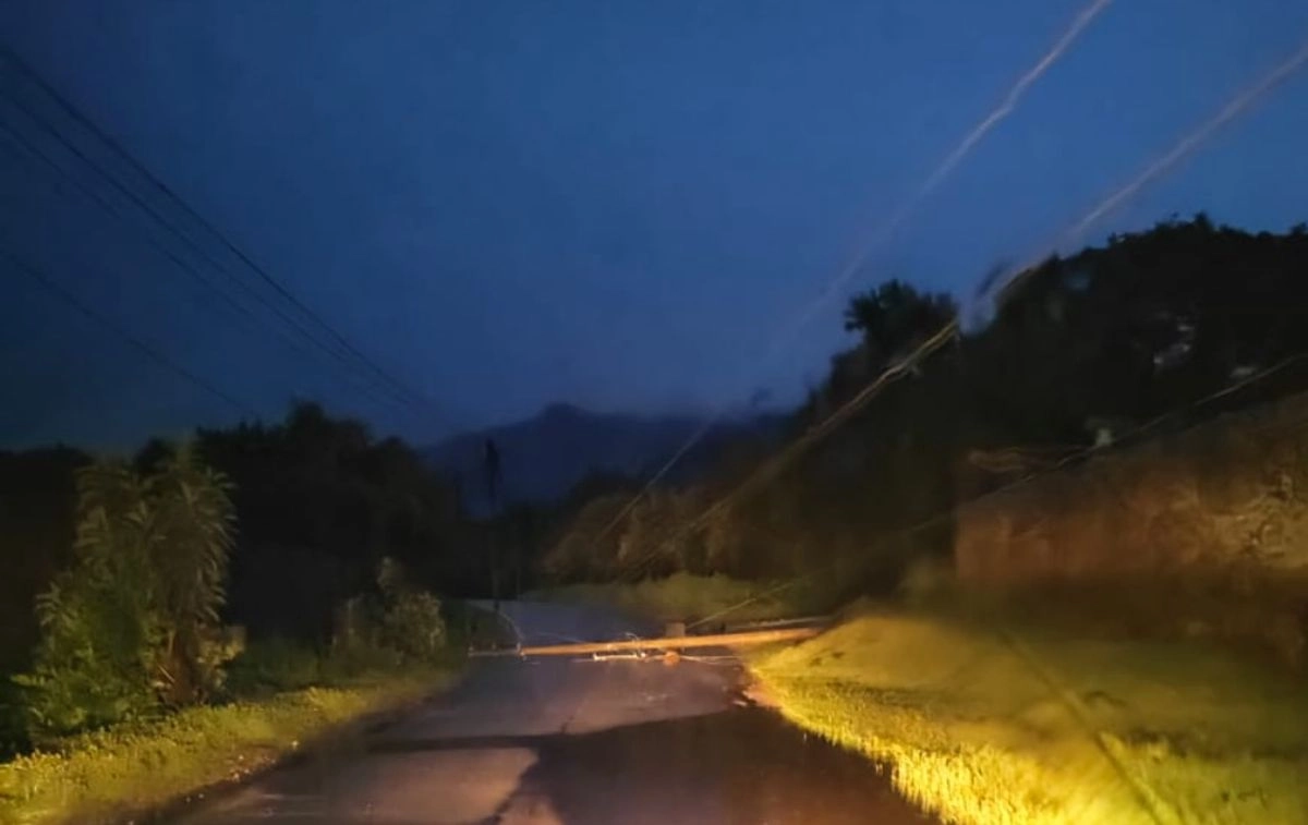 Las lluvias y fuertes vientos que azotaron Morelos la noche del miércoles  y madrugada de este jueves provocaron derrumbes y caída de árboles. Foto 