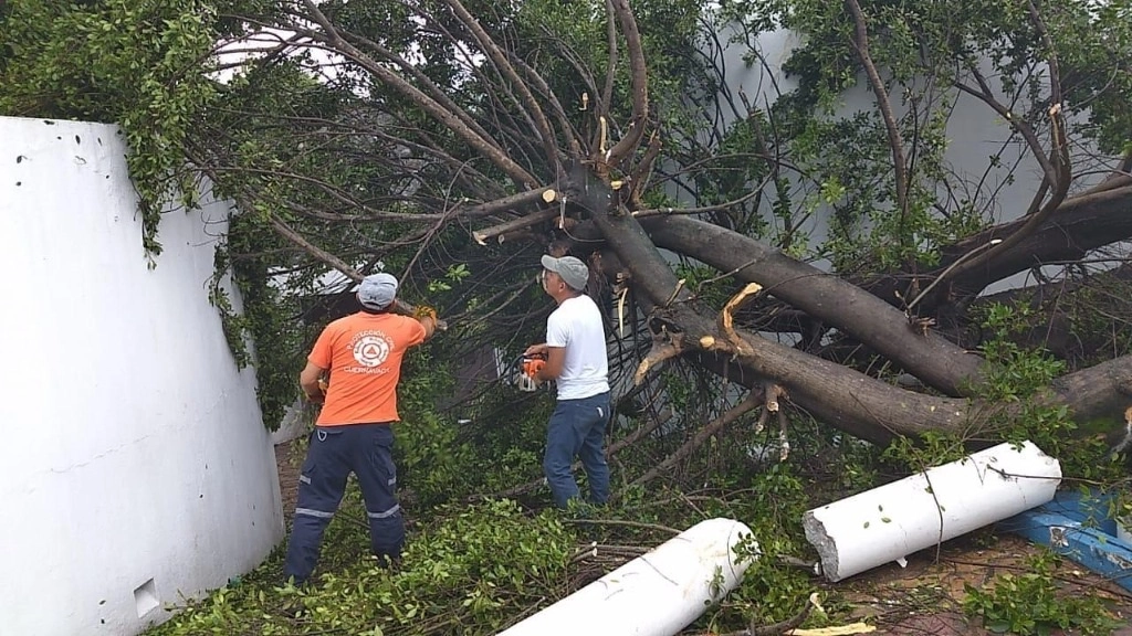 Las lluvias registradas la noche del miércoles en Morelos causó inundaciones y la caída de bardas y árboles. Foto La Jornada
