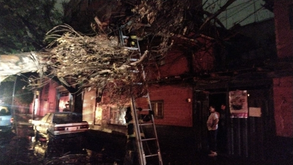 Caída de árbol en la alcaldía Azcapotzalco. Foto tomada de la cuenta de Twitter @SGIRPC_CDMX