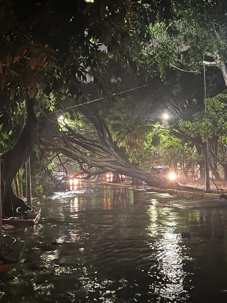 Las lluvias e inundaciones dejaron la primer víctima mortal en Guadalajara, Jalisco. Foto La Jornada 