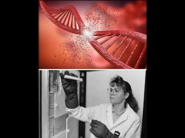 Imágenes tomadas del sitio de la Universidad de Sevilla y del Nhgri