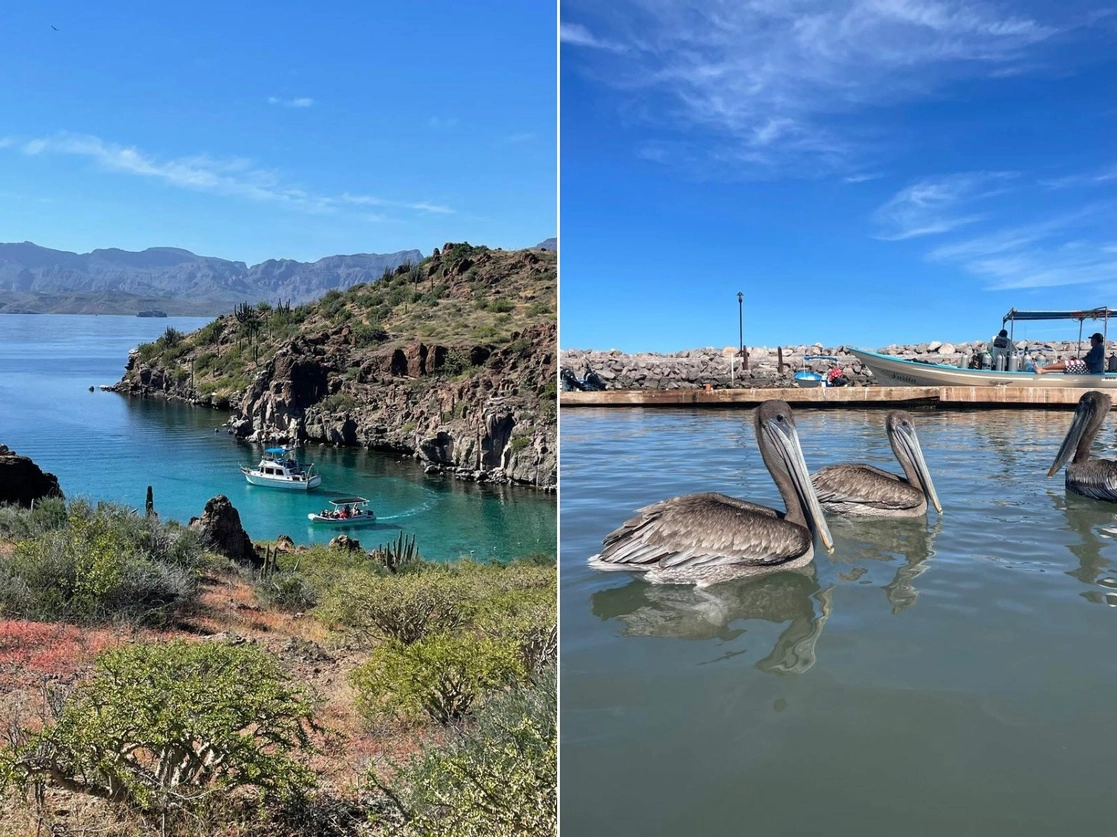 Aspectos de las islas del Carmen y Danzante, ubicadas en el Parque Nacional de Bahía de Loreto, Baja California Sur, donde existe una gran biodiversidad marina y terrestre. Entre los servicios turísticos y recreativos que ofrece se encuentran los paseos a las islas, los avistamientos de ballenas y aves, la pesca deportiva, el senderismo y el rapel. Foto Lidia Campos