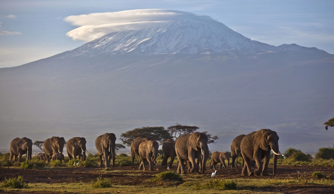 El Kilimanjaro, en Tanzania, uno de los tres campos de hielo tropicales del continente, está en riesgo. Foto Ap / Archivo