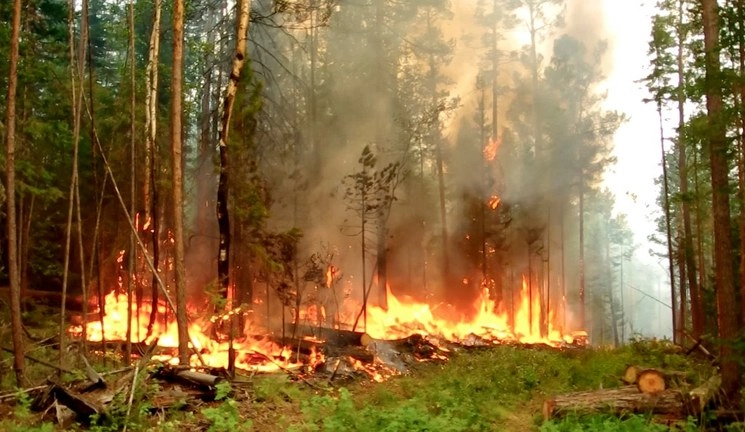 Un incendio forestal en Saja, al este de Rusia. La capital de la región, Yakutsk, está cubierta por una espesa niebla ante la cercanía del fuego. Foto Televisión rusa RU-RTR vía Ap